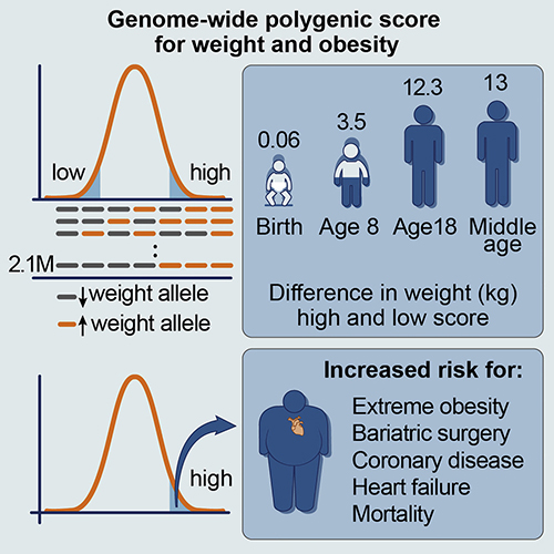 Broad Institute S New 50 Genetic Test Could Predict A Person S Risk For Obesity From Birth Through Adulthood Dark Daily